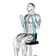 Flexion des biceps avec bande (assis)