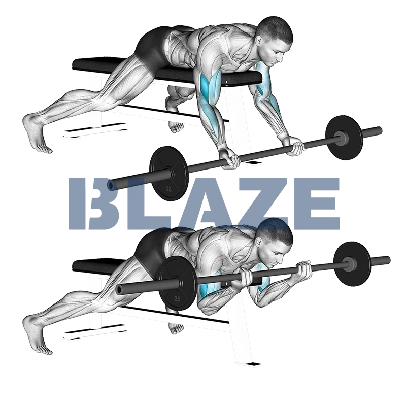 Uginanie przedramion ze sztangą w leżeniu na modlitewniku