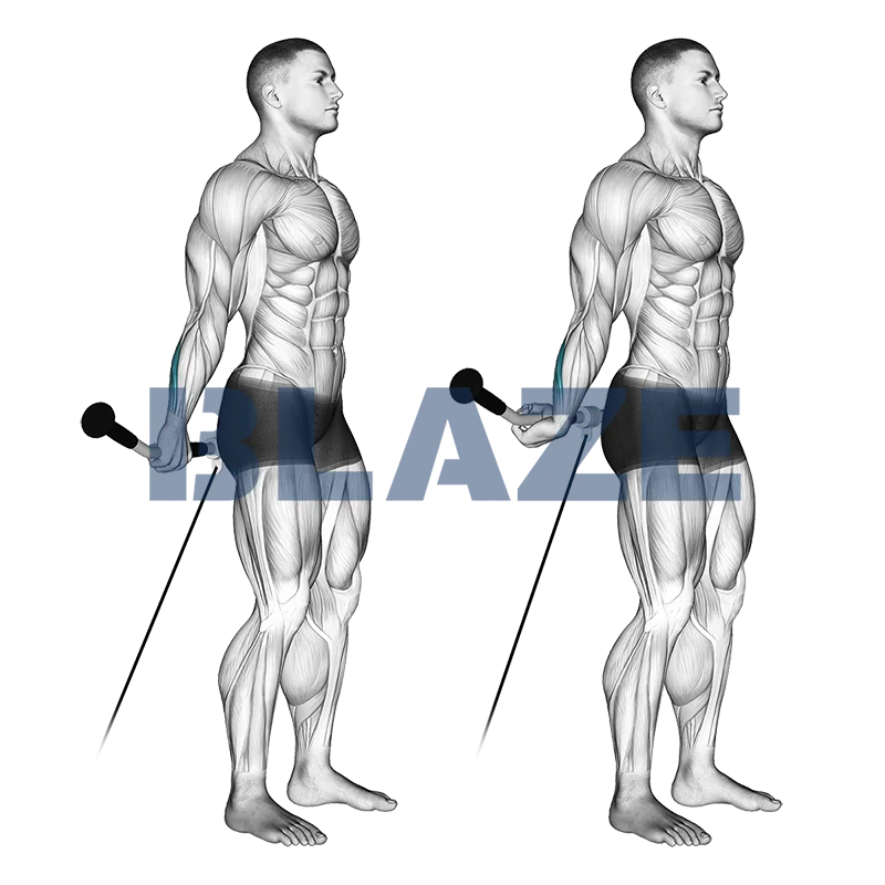 Boucle du poignet derrière le dos avec câble