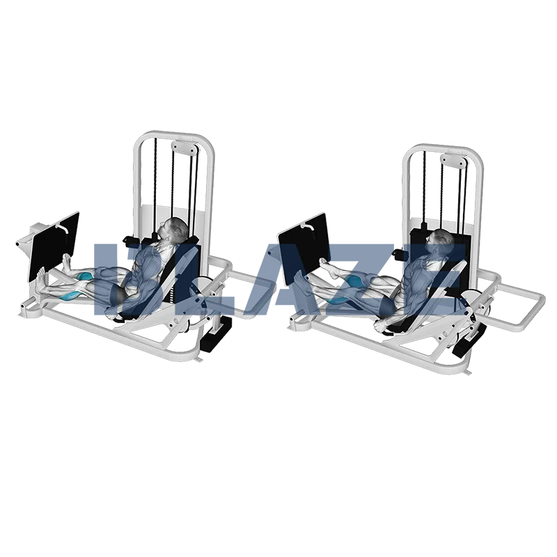 Wyciskanie łydek na maszynie siedząc