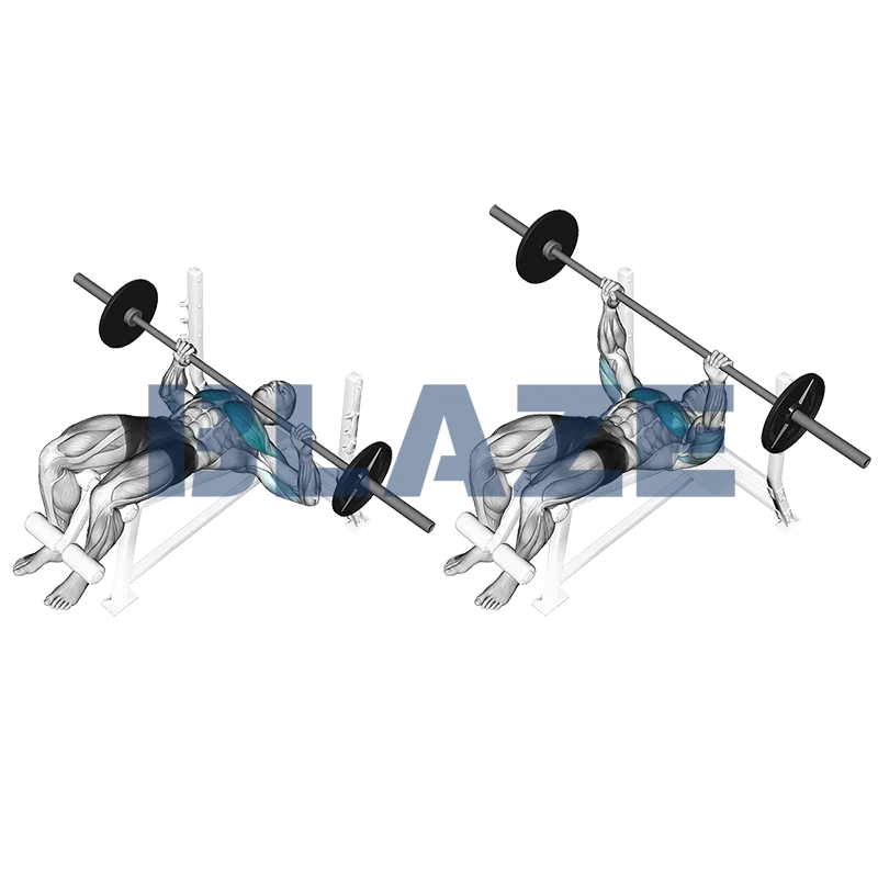 Wyciskanie sztangi na ławce (skos opadający)