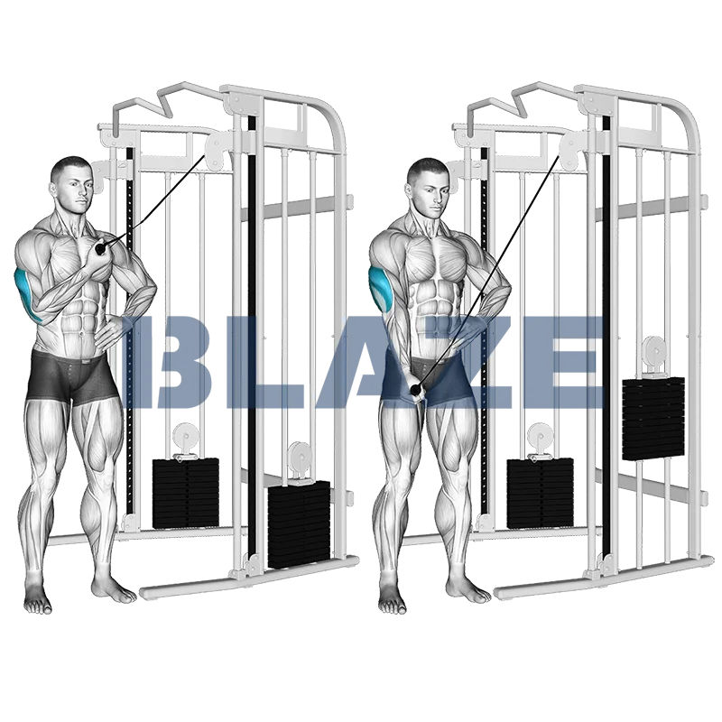 Jednoręczne wyciskanie w dół na triceps z wyciągiem