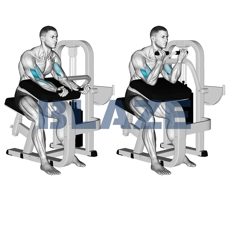 Uginanie przedramion na maszynie.