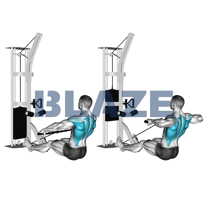 Wiosłowanie na tylni akton barków z wyciągiem