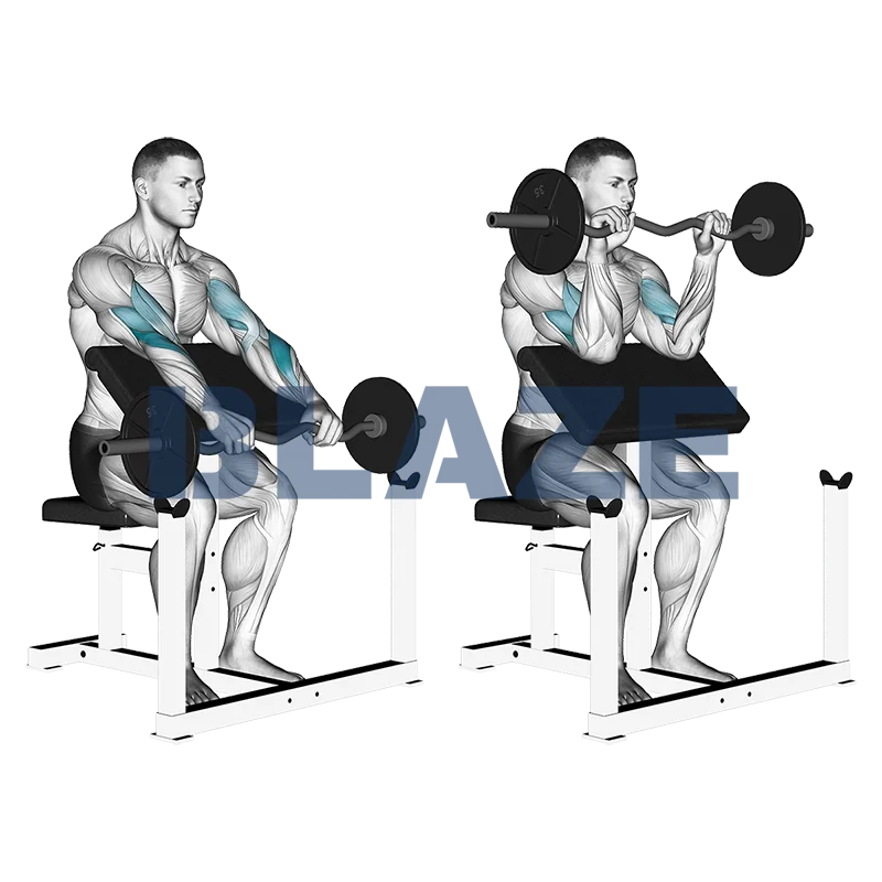 Curl łamana ławka z odwróconym chwytem