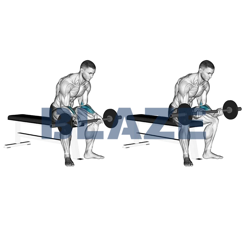 Wyciskanie nadgarstków ze sztangą (siedząc)