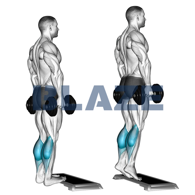 Podnoszenie łydek na stojąco z hantlami