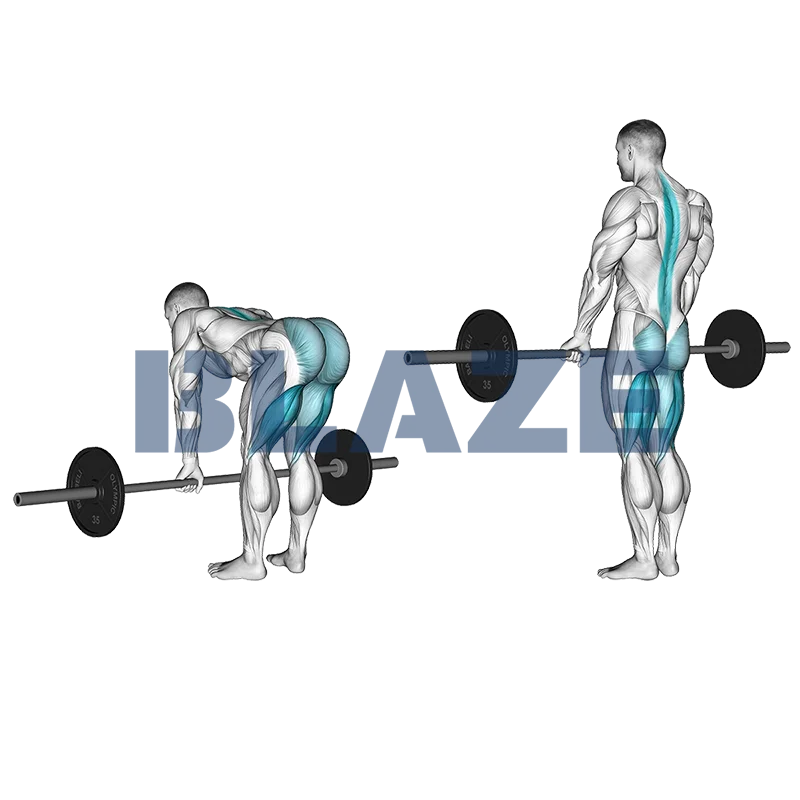 Levantamento terra com pernas rígidas com barra