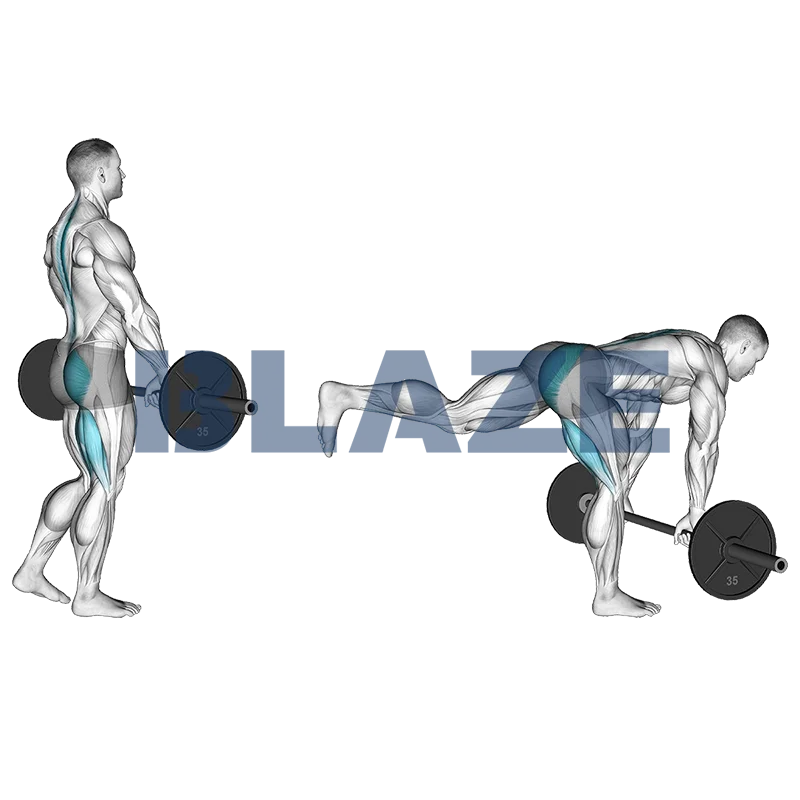 Martwy ciąg na jednej nodze z hantlami