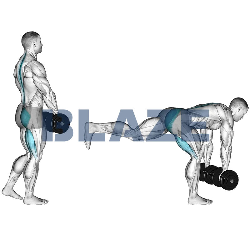 Martwy ciąg na jednej nodze z hantlami