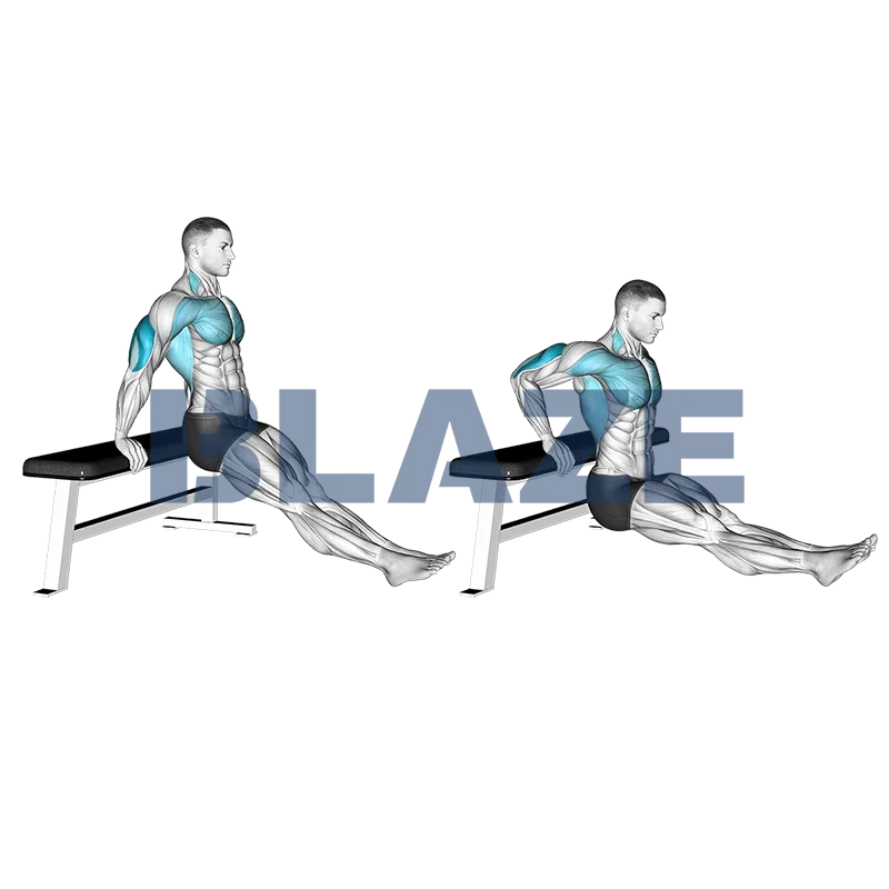 Pompki tyłem na ławce bez obciążenia