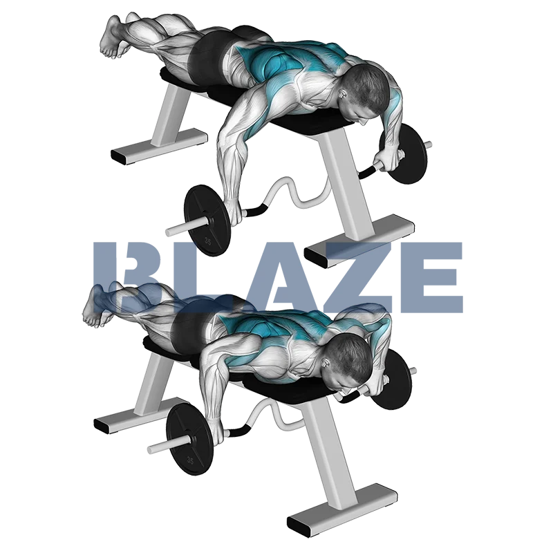 Bench pull (kano roeien)