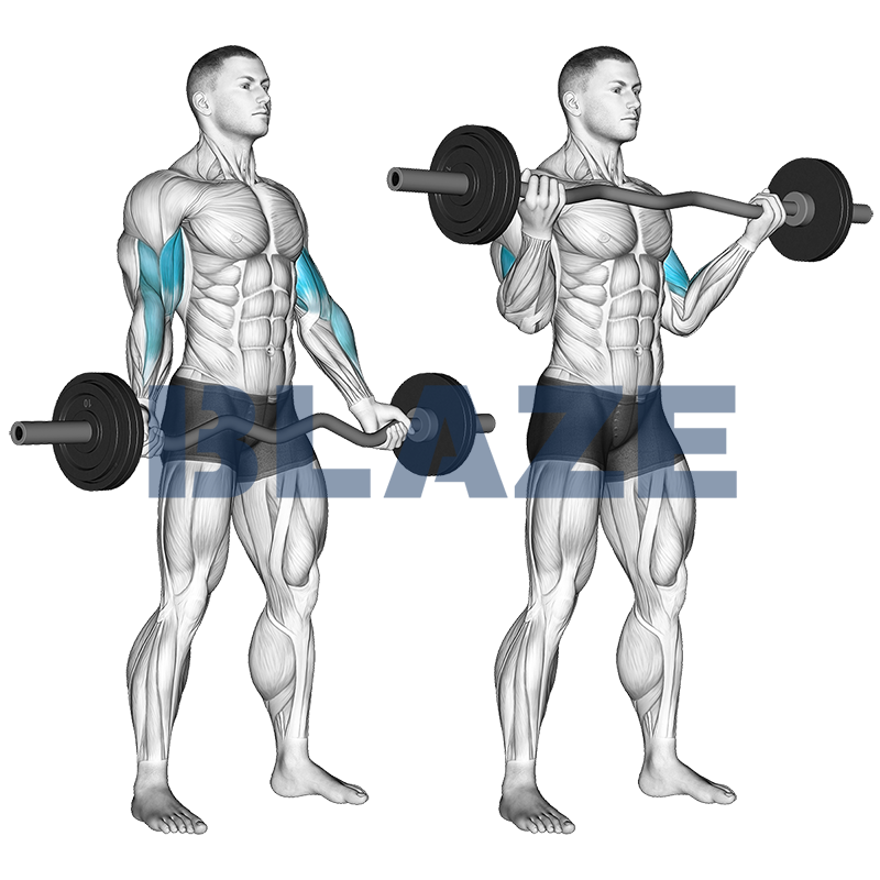 Bizeps-Curl mit SZ-Stange (weiter Griff)