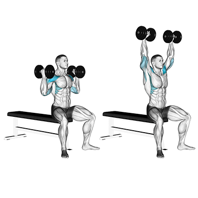 Arnold Press Variation 