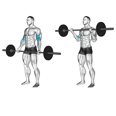 Bizeps-Curl mit Langhantel (weiter Griff) 