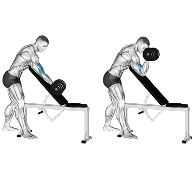 Bizeps-Curl einarmig mit Kurzhantel auf Schrägbank 