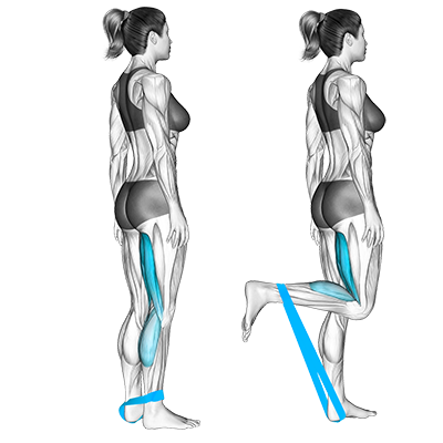 Beinbeugen mit Band (stehend) 