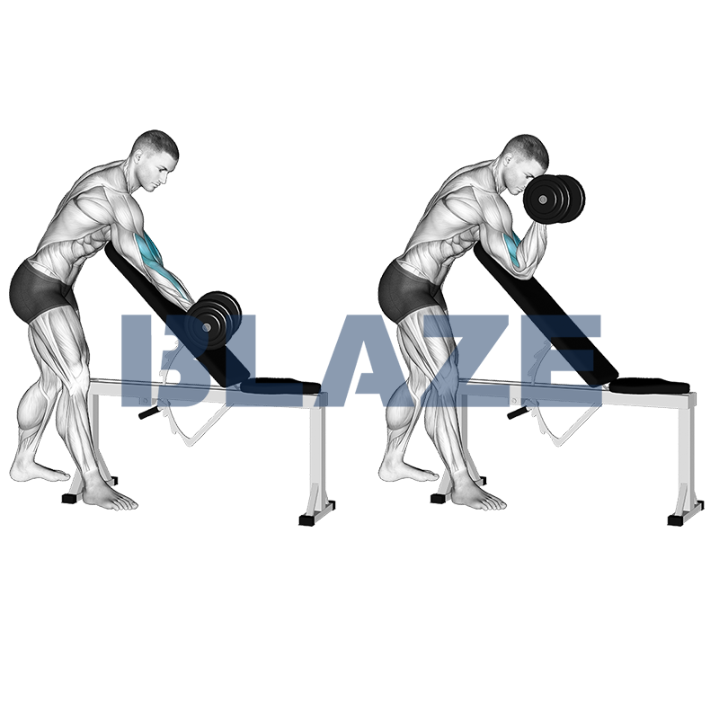 Curl inclinado prono en predicador con mancuerna y un brazo