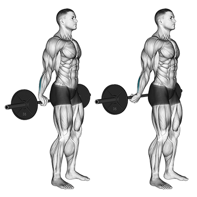 Curl des poignets derrière le dos avec barre