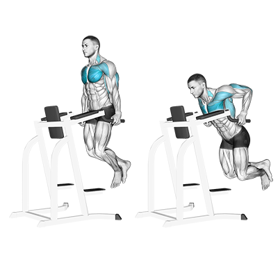 Dips pour le thorax