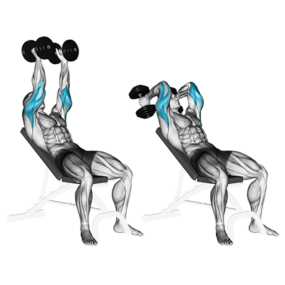 Extension des triceps avec haltères (inclinée)