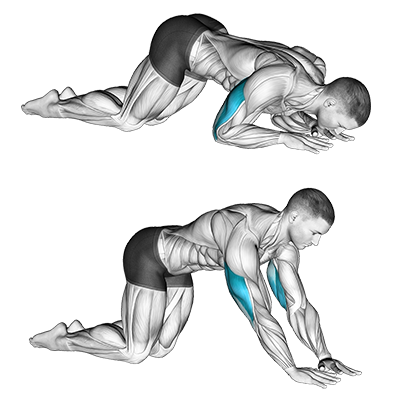 Extension des triceps à genoux avec poids du corps