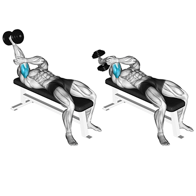 L’extension du triceps avec un bras et haltère sur banc plat