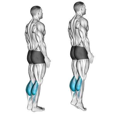 Élévation des mollets sans poids (debout)