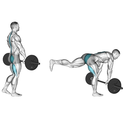 Soulevé de terre avec une jambe et une barre