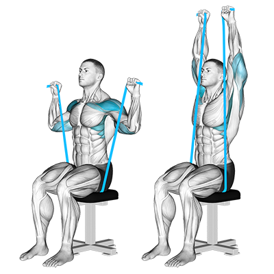 Presse au-dessus de la tête avec bande (assis)
