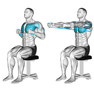 Pression de poitrine avec bande (assis)