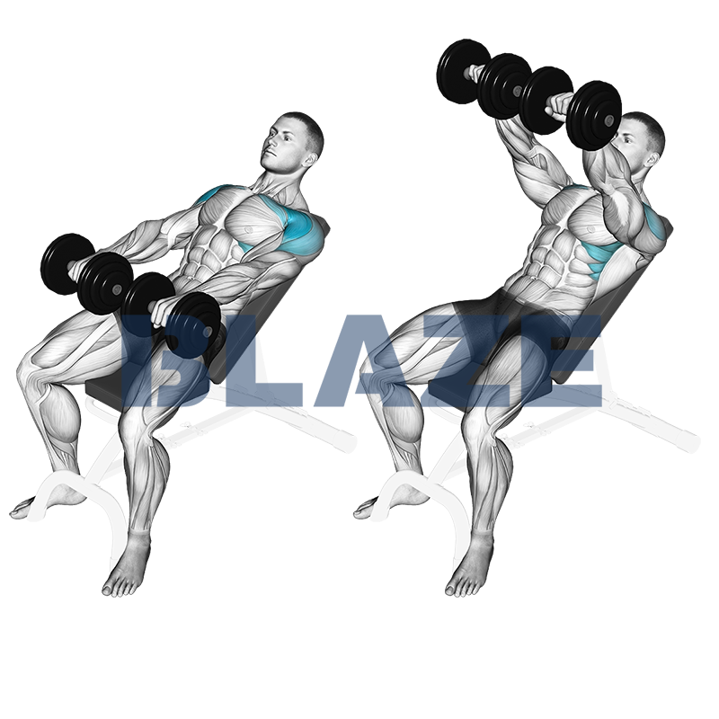 Front raise met dumbbells (hellend)