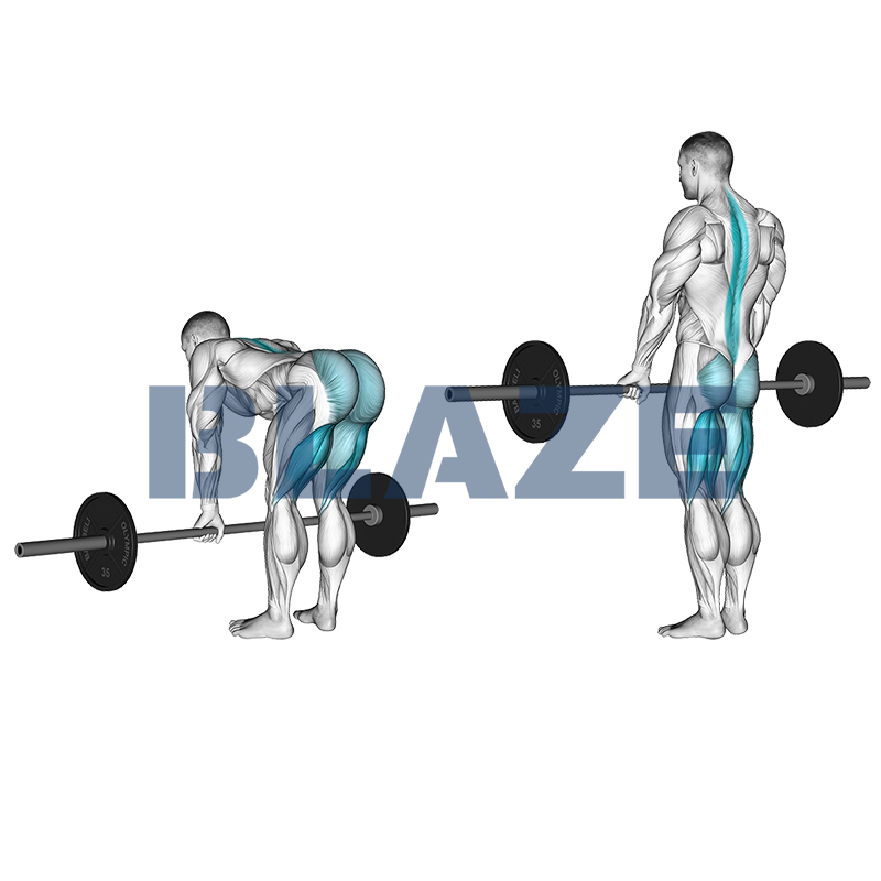 Stijve benen deadlift met halter