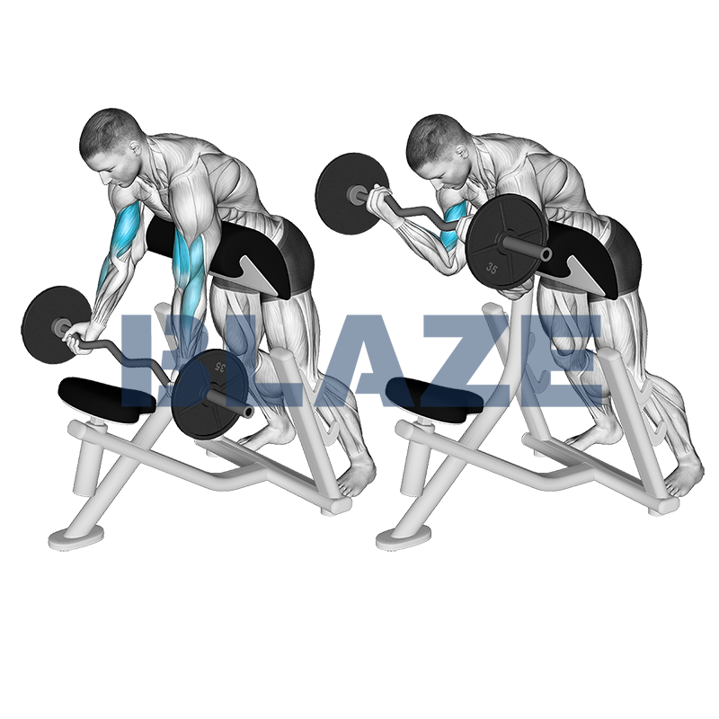 Prone incline preacher curl met EZ-stang