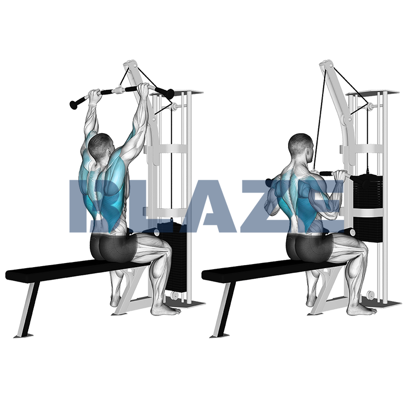 Lat pull down (presa media)