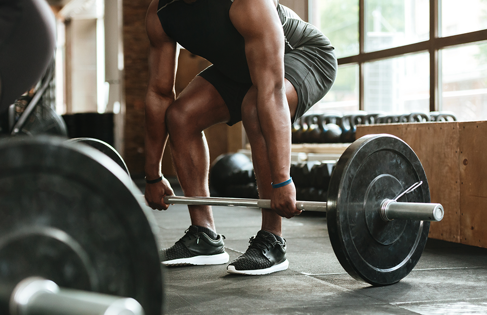 Entrenamiento Básico de Cuerpo Completo